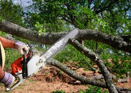 Best Weed Control  in Lake Mary Jane, FL